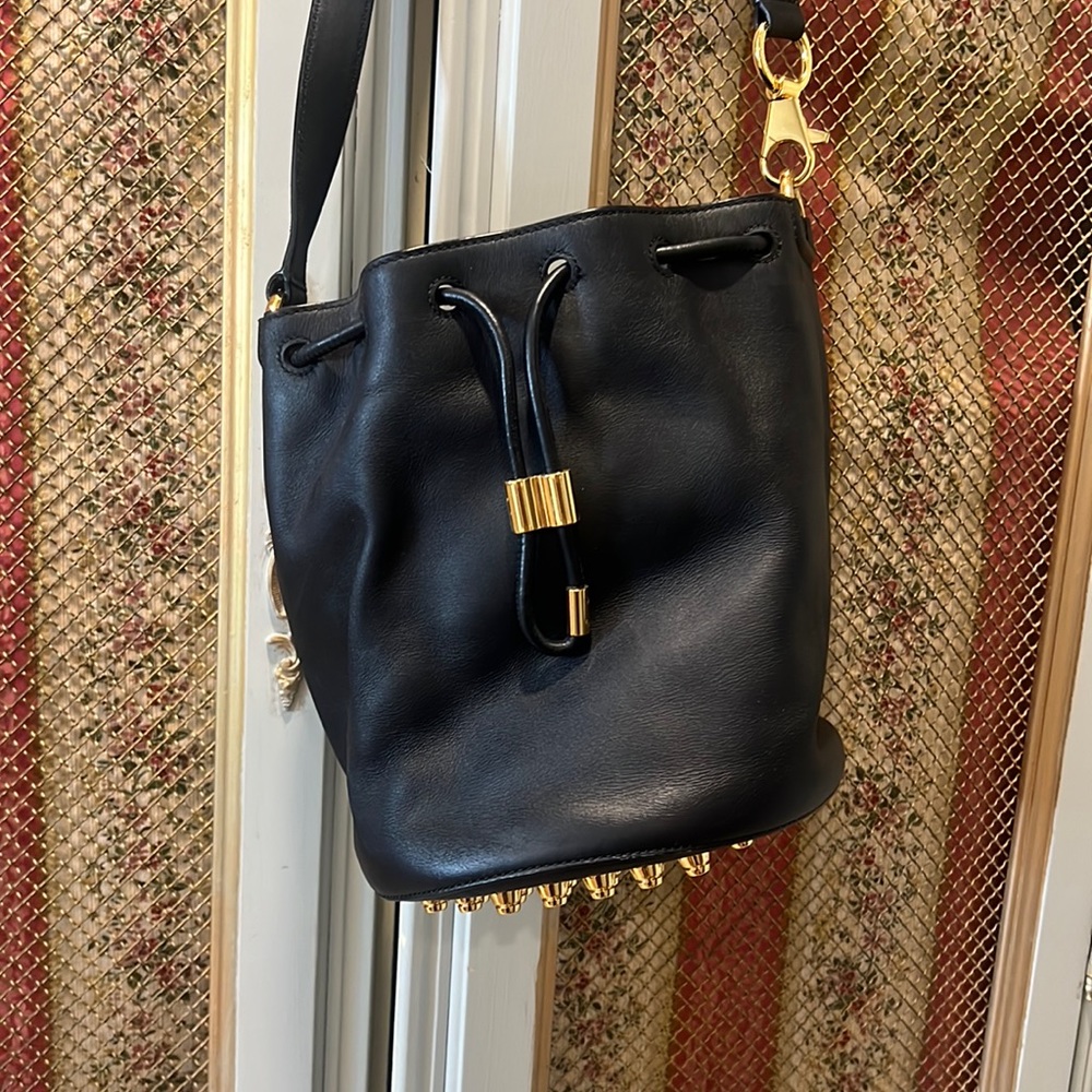Alexander wang bucket bag